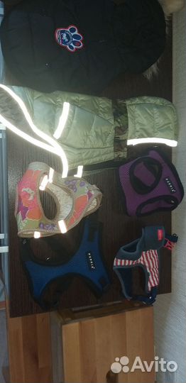 Одежда для собаки мелкой породы