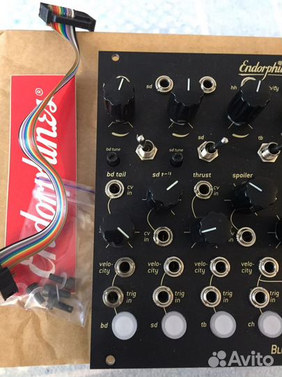 Endorphines black noir