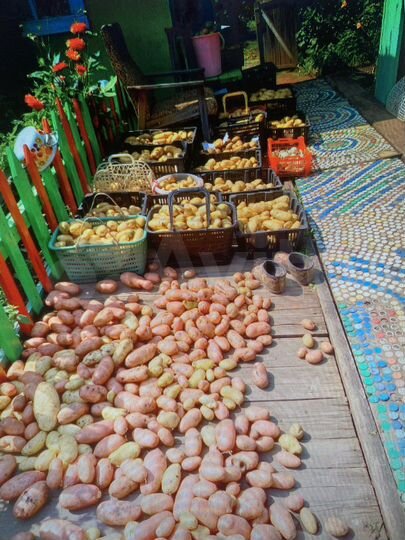 Дача 15 м² на участке 10 сот.