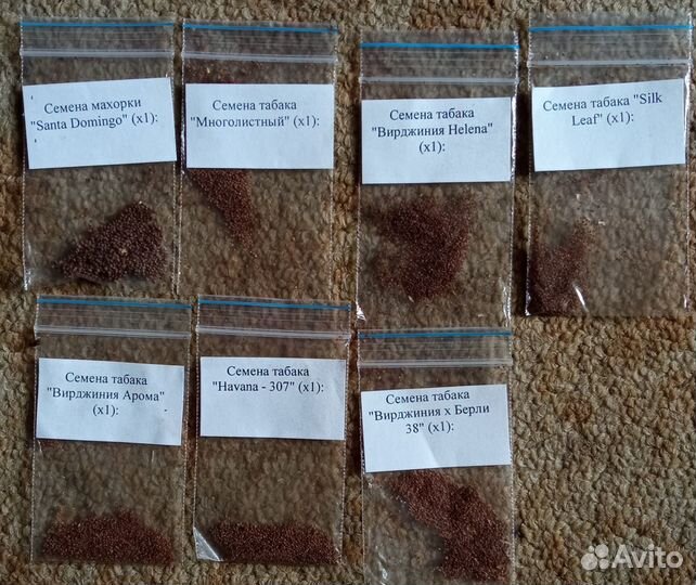 Семена табака