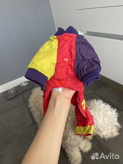 Комбинезон для собаки средних пород