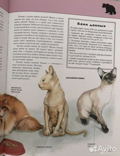 Энциклопедия животные иллюстрированная для детей