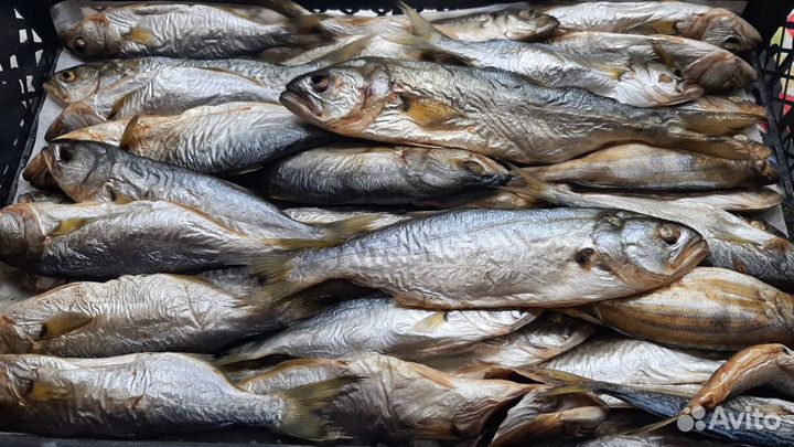 Коптильня горячего копчения 500х300х250 мм