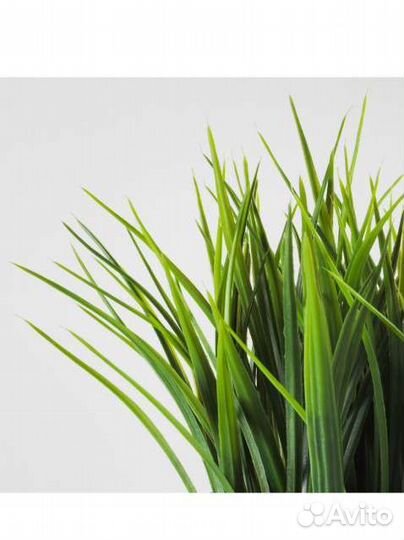 IKEA новые цветы трава искуственные