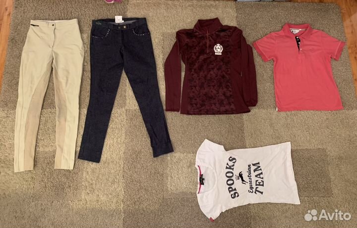 Бриджи футболка куртка жилет верховой езды xs-s-м