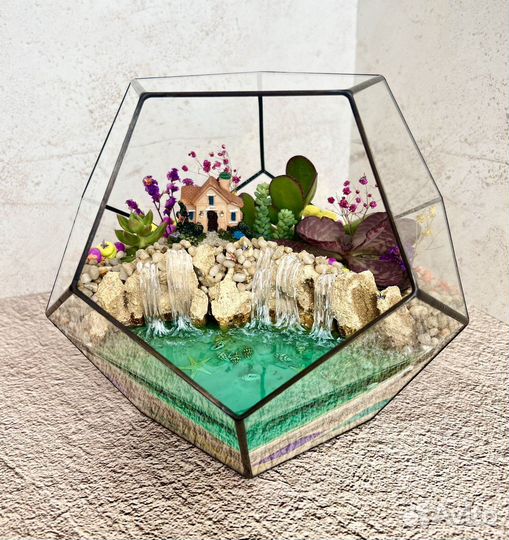 Флорариум Подарок