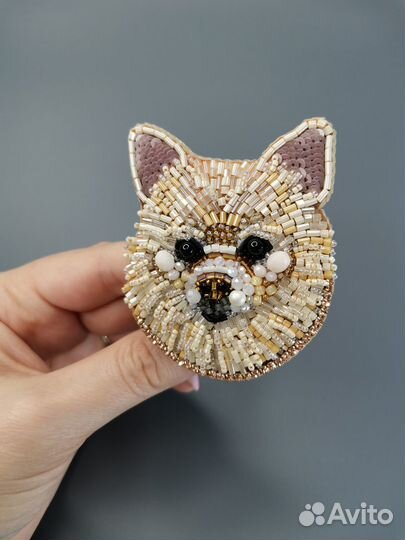 Ринговка для собак