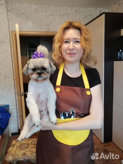Стрижка собак и кошек
