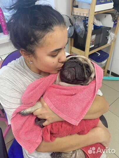 Передержка для собак любых пород