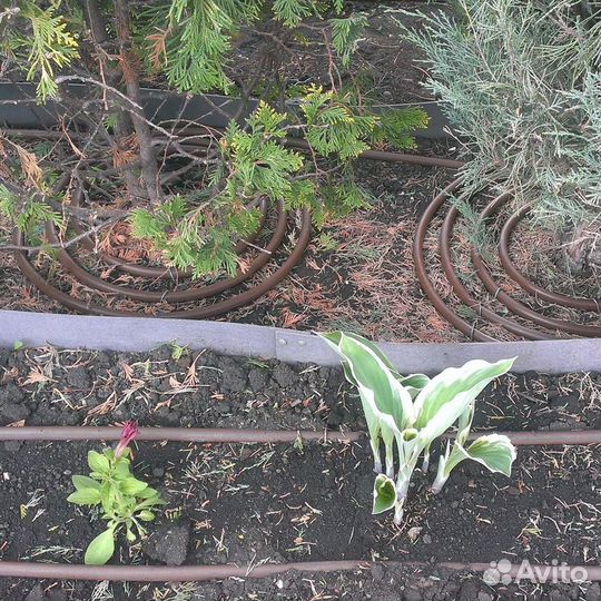 Трубка капельного полива многолетняя