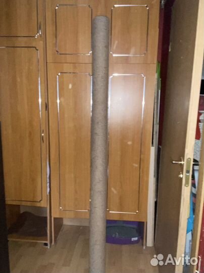 Когтеточка 2м