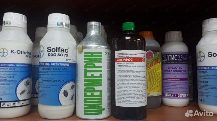 Травля клопов, тараканов. Обработка от клещей