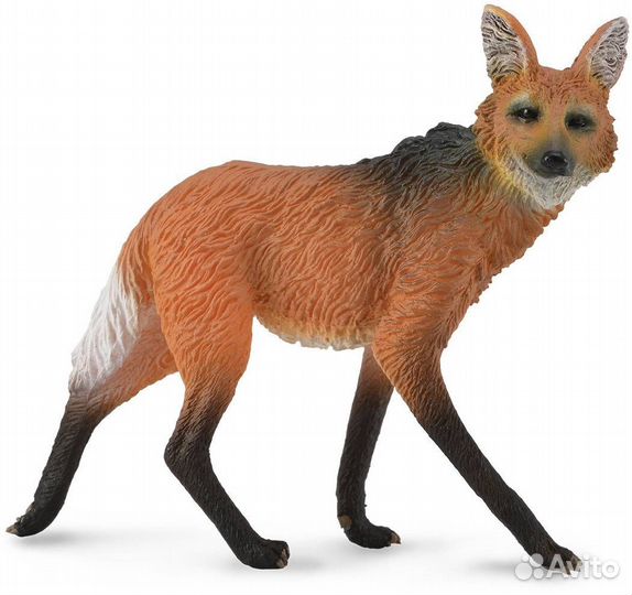 Гривистый волк M 88595b