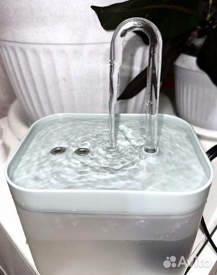 Фонтан поилка для кошек