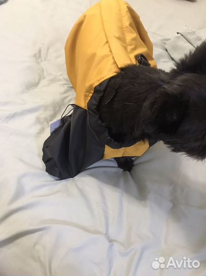 Дождевик для маленькой собаки куртка