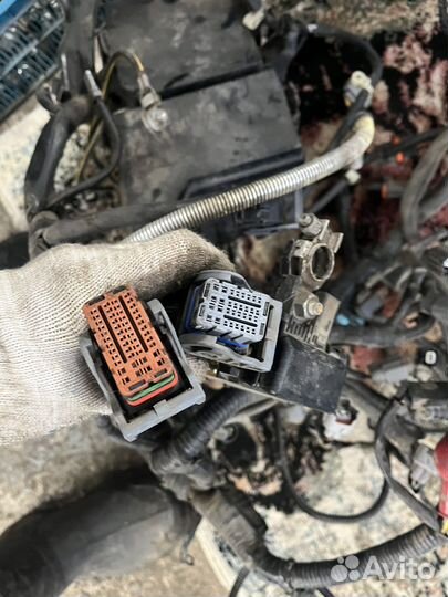 Проводка моторного отсека Nissan Qashqai J10 HR16