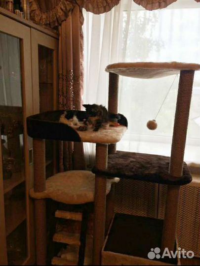 Игровой комплекс для кошек Фуаро с гамаками