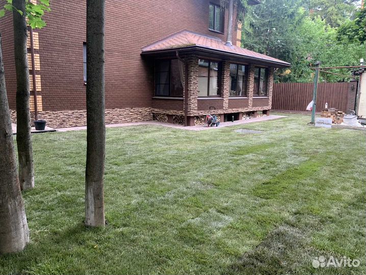 Рулонный газон