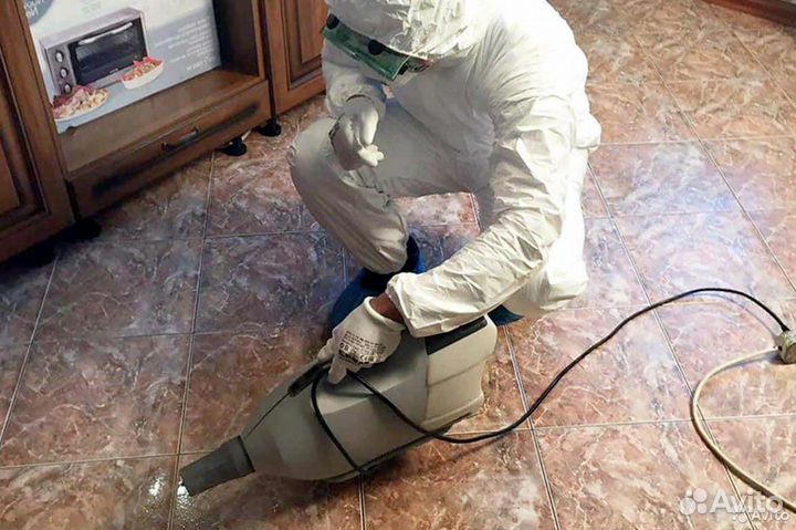 Уничтожение тараканов, клопов, муравьев