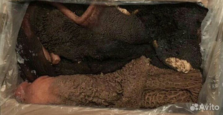 Мясо(корм) для собак и кошек