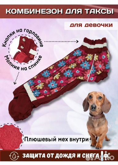 Зимний комбинезон для таксы (девочка)