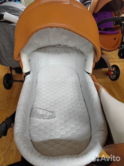 Коляска 2в1 адамекс