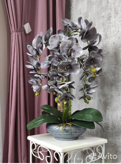 Орхидея