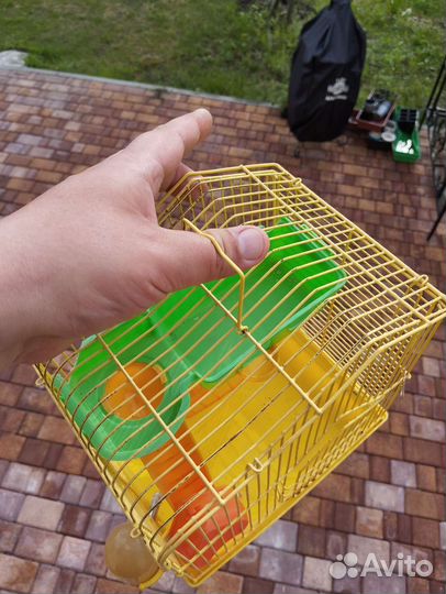 Клетка для хомяка