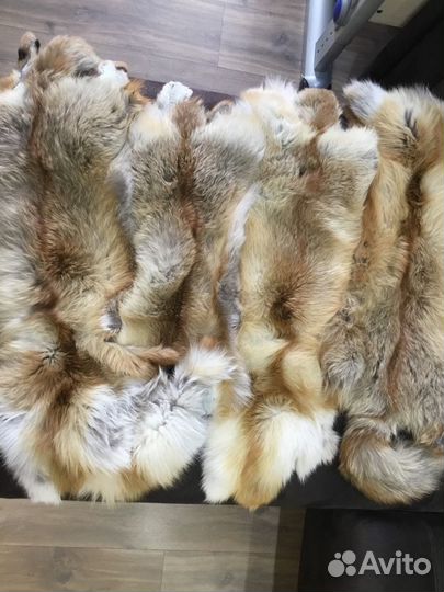 Шкурки лисы
