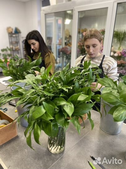 Обучение на флориста