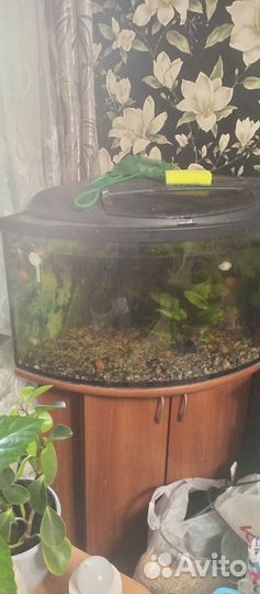 Аквариум 120 литров