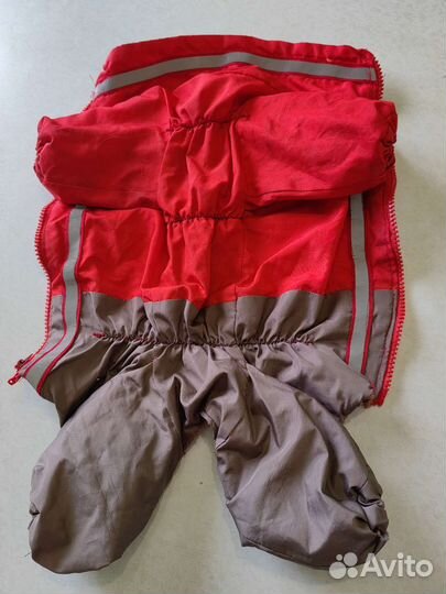 Дождевик для маленькой собаки