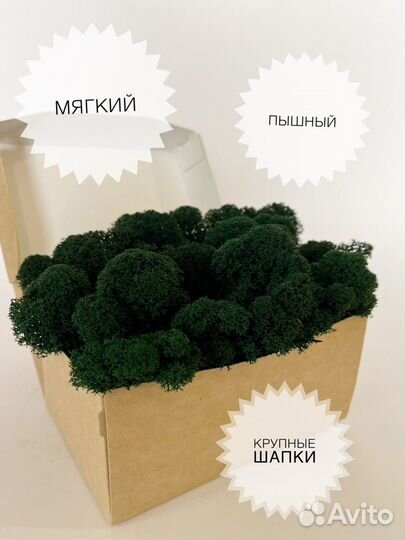 Стабилизированный мох