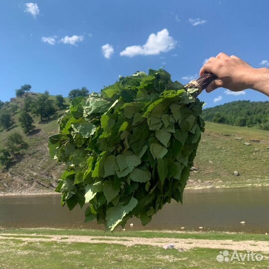 Веник для бани Березовый