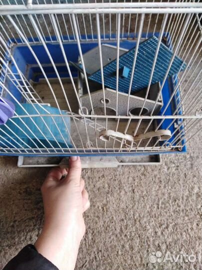Клетка для грызунов