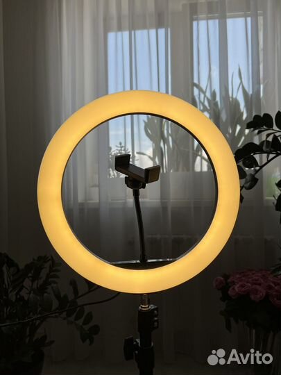 Кольцевая лампа со штативом