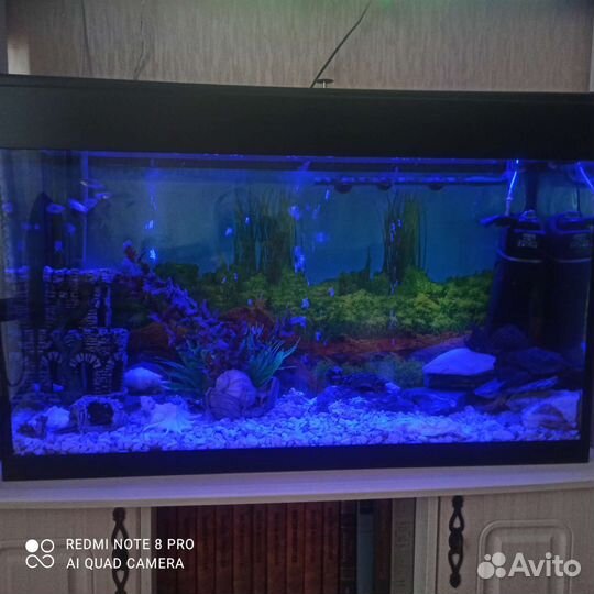 Аквариум