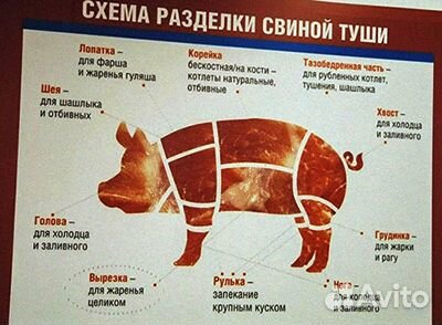 Мясо фермерское свинина 24 июля