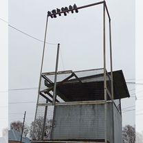 Николаевские голуби