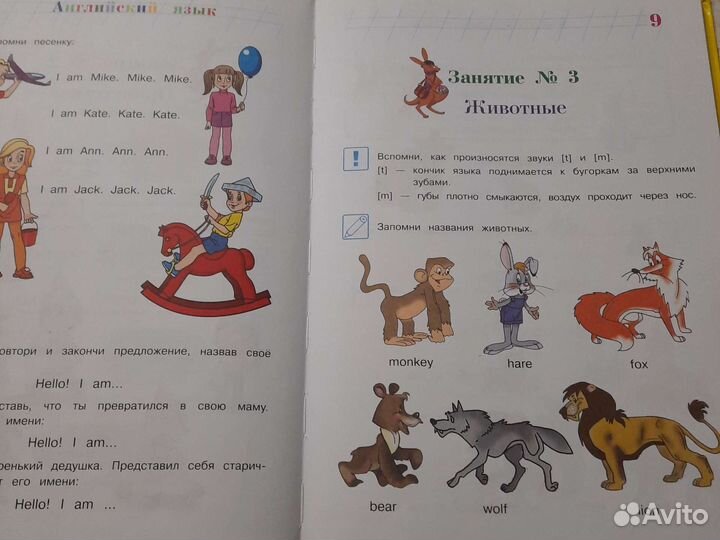 Английский язык 5-6 класс