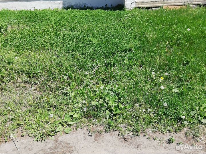 Покос травы
