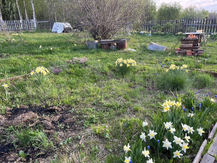 Дом 30 м² на участке 8 сот.