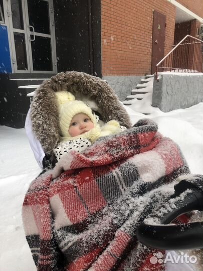 Stokke зимний кит