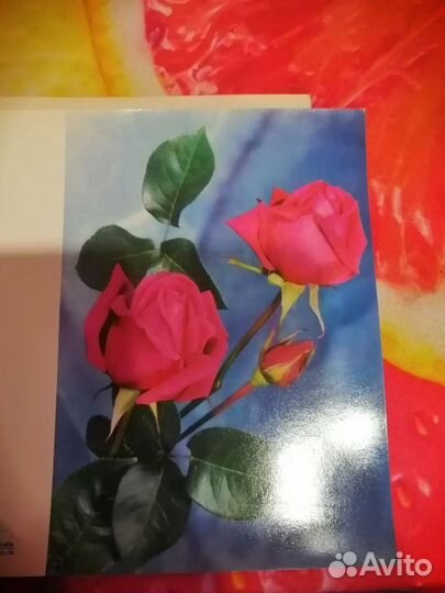 Открытки СССР