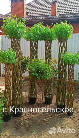 Плетеные деревья из ивы купить в Пластуновской | Товары для дома и дачи ...