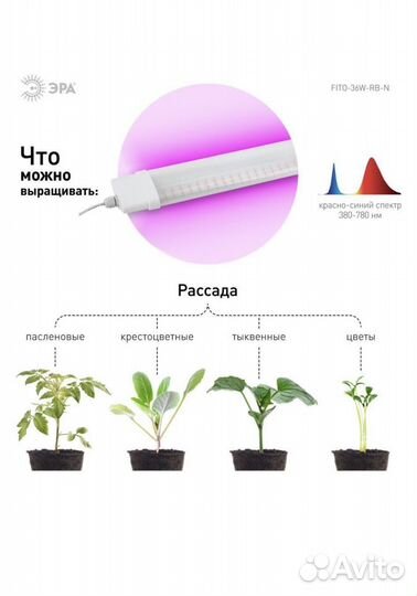 Продаю фитолампу светодиодную Эра 36 Вт