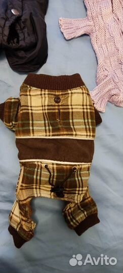 Одежда для маленькой собачки