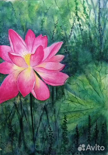 Акварельные картины