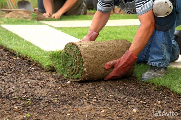 Укладка рулонного газона под ключ, производитель