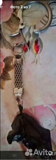 Чилим, чертик, водный орех